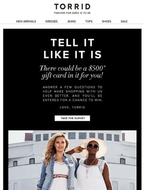 Torrid survey invitation email example